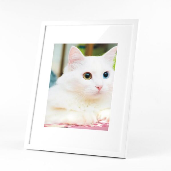 20 X 36 Frame