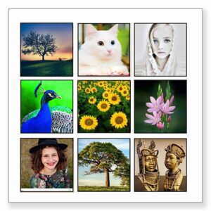 6 x 6 collage with 9 square photos